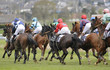 Course hippique à Fougères Course hippique à Fougères
