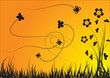 Flower silhouette in the sun set