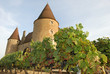 The castle of Corcelles and its vineyard in the South of France