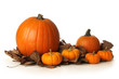 Pumpkins on leaves