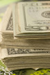 Bundles of US dollars