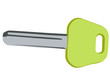 little key on white background