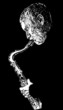 jazz saxophonist