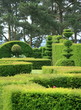 arbres taillés arbres taillés