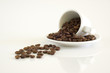 White coffee cup and coffee beans on a light background
