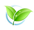 Concept nature