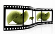 Apple Film Strip