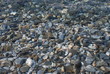 clear sea as backround clear sea as backround