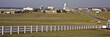 Grain elevators rise above the low skyline of Dodge City, KS.