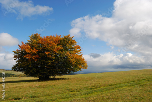 Herbst