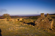 Derelect Cottage, The Drum Derelect Cottage, The Drum