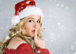 Santa 1_3 / beautiful Santa-woman
