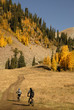 Mountain biking with Aspen trees
