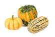 Delicata, Carnival and Sweet Dumpling winter squashes Delicata, Carnival and Sweet Dumpling winter squashes