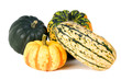 Acorn, Carnival, Delicata and Sweet Dumpling winter squash Acorn, Carnival, Delicata and Sweet Dumpling winter squash
