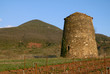 Pigeonnier3