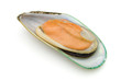 Half of green mussel