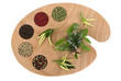 Spice and herb palette