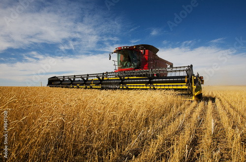 Photo: modern combine harvester working on a wheat crop modern combine harvester working on a wheat crop