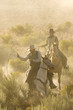 Two Cowboys galloping and roping through the desert