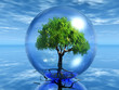 Quadro arbre en bulle