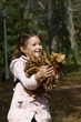 Fall comes
