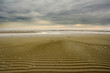 empty beach of baltic sea. empty beach of baltic sea.