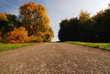 Herbststimmung