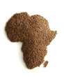 The hungry continent