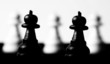 Two row of different pawns