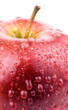 The fresh ripe red apple
