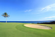 Photo: Golf Course on Green Lava Ocean Shore of Kona Island, HI Golf Course on Green Lava Ocean Shore of Kona Island, HI