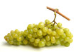 grappe de raisin blanc 2 grappe de raisin blanc 2