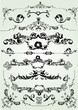 Collection of Floral frame elments - vector