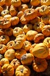 Small Pumpkins
