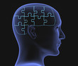 Brain in the form of the combined puzzle