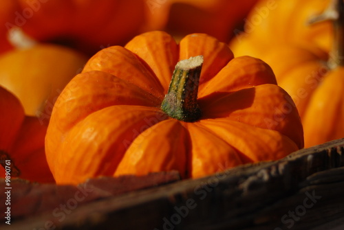 Foto: Bunch of pumpkins on a farmers market Bunch of pumpkins on a farmers market