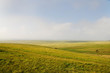 Fields