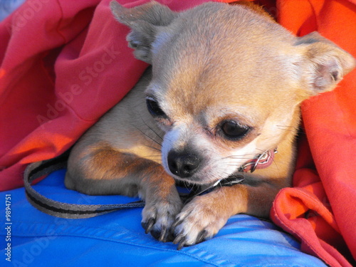 Billie