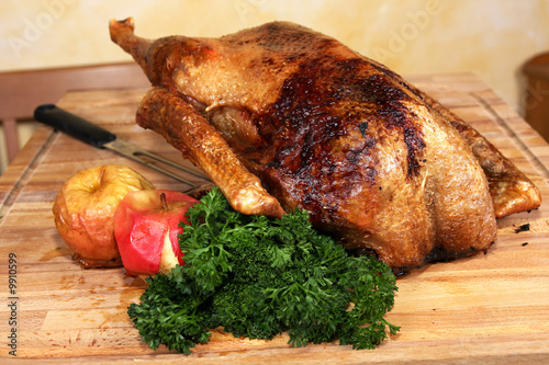 geschmorter gänsebraten