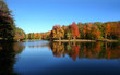 Scenic Autumn Landscape