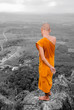Budhist monk
