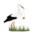 Cigogne livrant un bébé