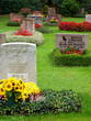 Friedhof Friedhof