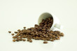 White coffee cup and coffee beans on a light background