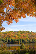 Scenic scene with autumn trees set against a wooded lake