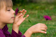 Photo: petite fille cueillant des fleurs violettes petite fille cueillant des fleurs violettes