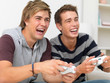 A couple of guys using a gaming console