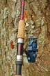 Spinning rod and reel with lure on a pine-tree background