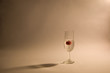Broken glass with cherry and shade